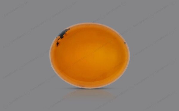 Amber - Yellow (4.96 Carats) - Image 2