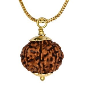 Golden Capping 5 Mukhi